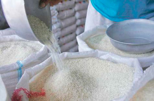 En miles de quintales crecerá la producción de arroz en Honduras