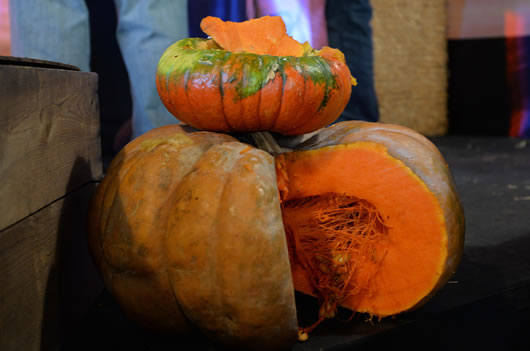 Inversionistas canadienses interesados en importar calabazas y tubérculos