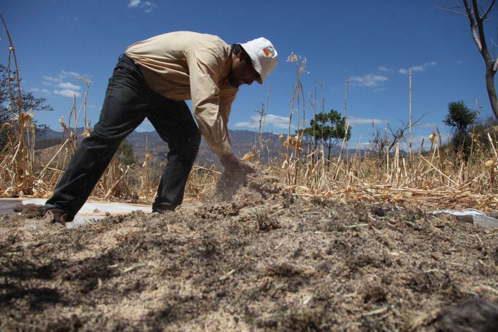 Descartan fuerte impacto de La Niña en Centroamérica (experta)