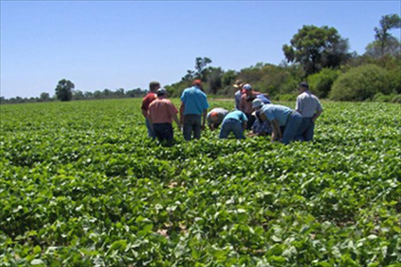 $275 millones prestarán el BID y BM para que Invest-Honduras lo invierta en agricultura