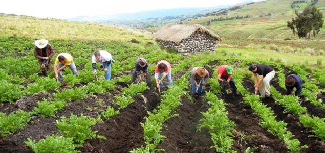 Campesinos hondureños proponen una ley para reactivar el sector agrícola