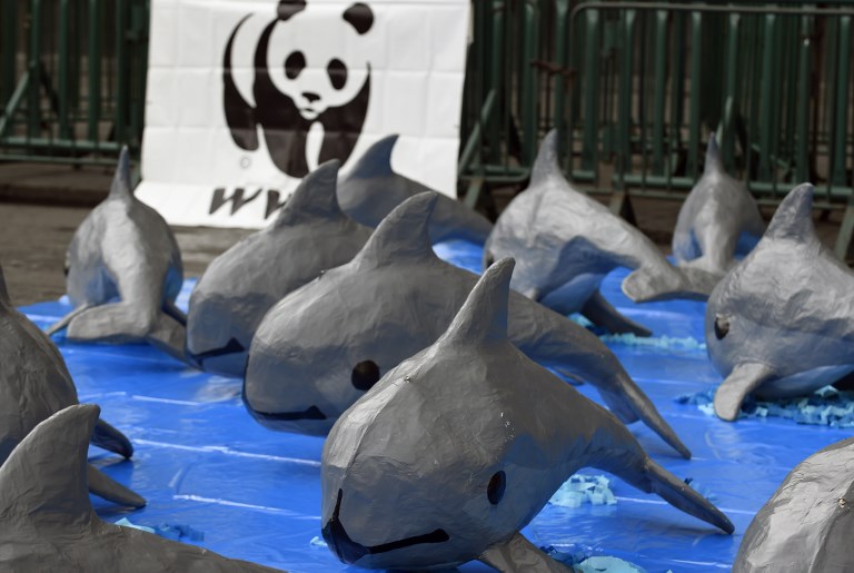 Vaquitas marinas llegan a plaza principal de México a pedir su conservación