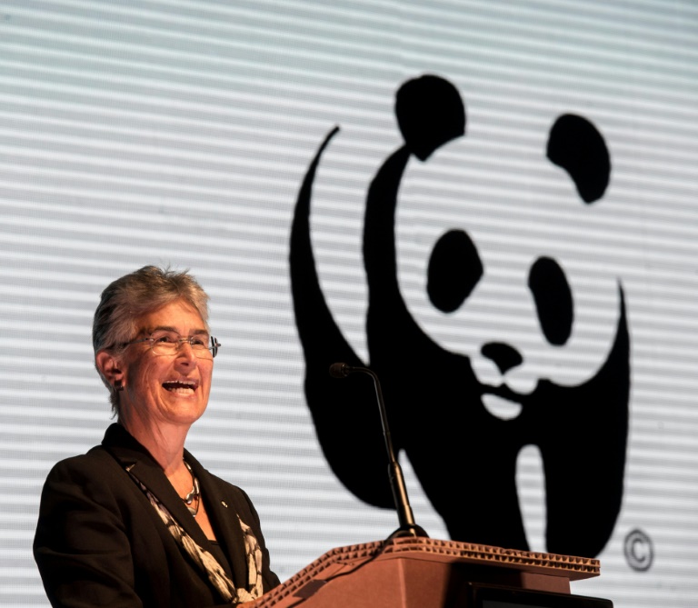 WWF: El deterioro de los océanos amenaza la seguridad alimentaria global