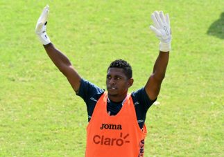 Carlo Costly