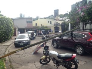 Camión se llevó tres postes y casi deja tragedia en Las Minitas