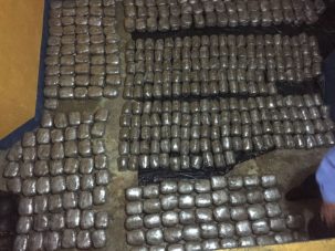 600 libras de marihuana decomisa policía en el norte de Honduras
