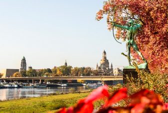 Los árboles crecen más rápido en las ciudades, según estudio