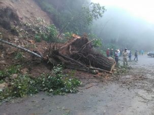 Fuerte derrumbe bloqueó esta mañana carretera en La Paz
