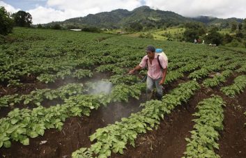 Miles de productores hondureños beneficiados con los fondos FIRSA