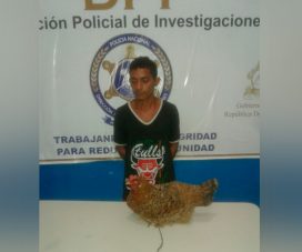 Capturan en sur de Honduras a individuo por robarse una gallina