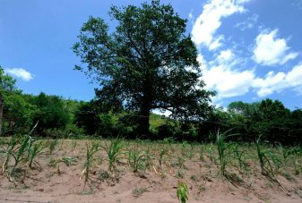 El cambio climático ya tiene un impacto en nuestra salud, según un informe