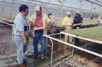Delegación mexicana inspecciona fincas para certificación del melón hondureño