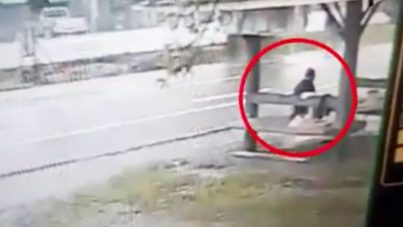 Vídeo. Mujer embestida por un automóvil y sale caminando como si nada