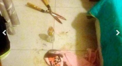 Mujer argentina mutila genitales de su amante con tijera de podar (prensa)