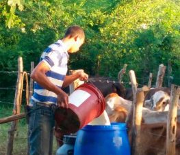 Aumento a la leche