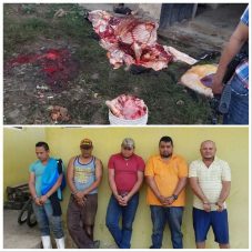 Capturan banda dedicada al robo y destazo de ganado en Olancho