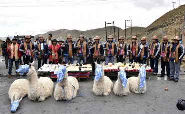 llamas