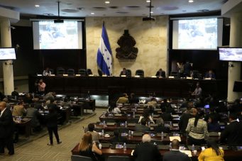 Los presidentes de las comisiones del Congreso Nacional