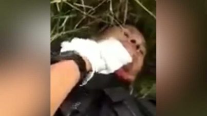 Policías acorralados por narcotraficantes ayudan a su compañero golpeado