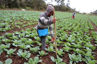 900 millones en Créditos Solidarios entregados a pequeños y medianos productores