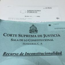 recurso de inconstitucionalidad