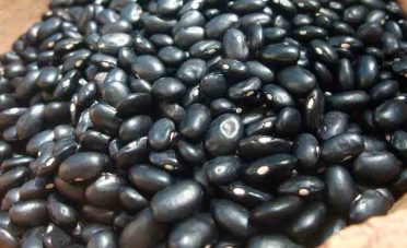 Unos 37 contenedores de frijol negro proyecta exportar Honduras este año