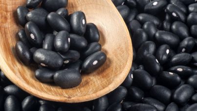 frijol Negro