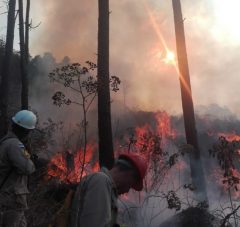 Alerta ante ola de incendios forestales, quemas y contaminación en el país