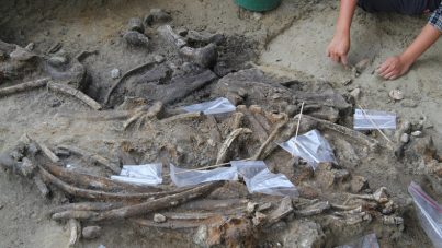 Hallan herramientas que hace 700.000 años usó un misterioso ancestro humano
