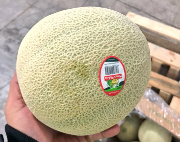 melón hondureño