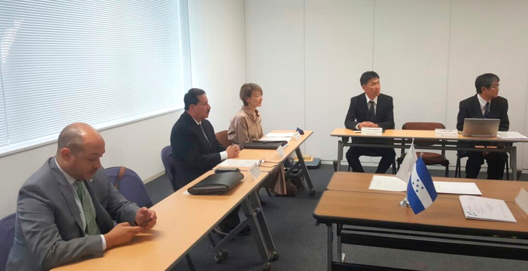 En Japón abren licitación para reparar fallas geológicas en carretera a Danlí