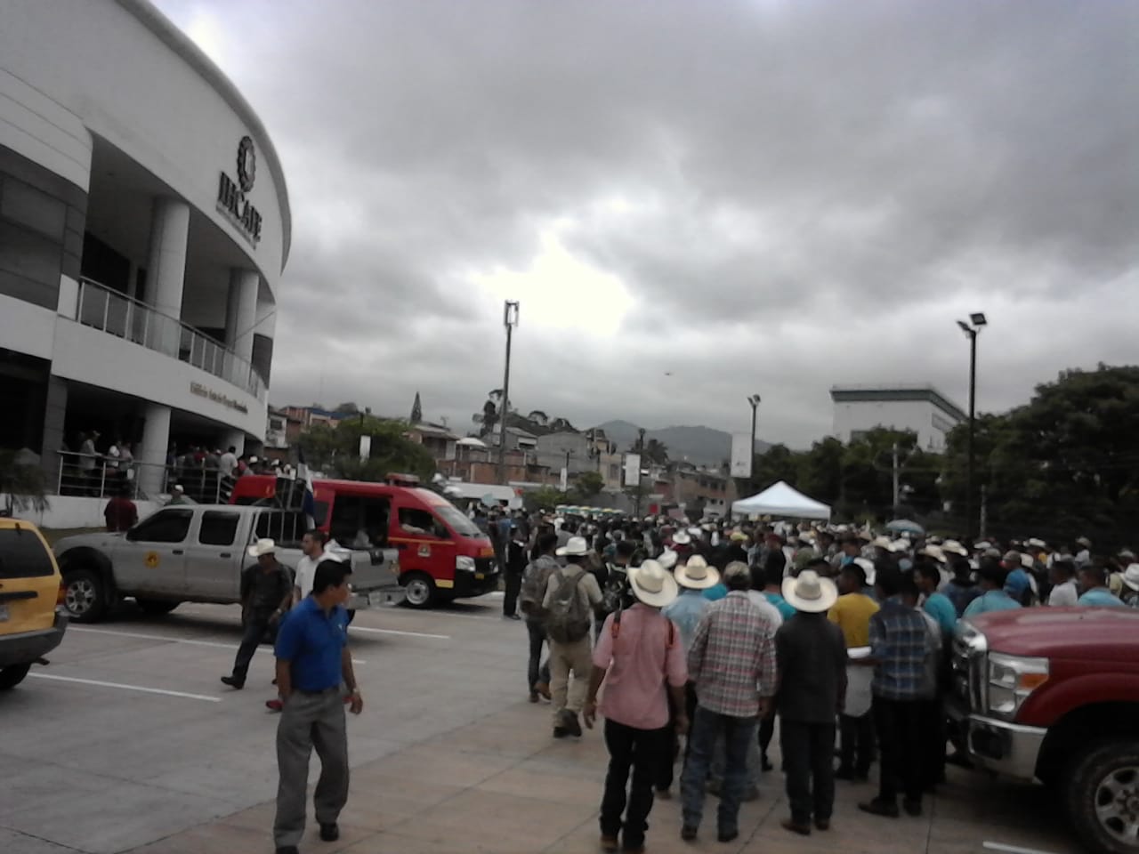 caficultores