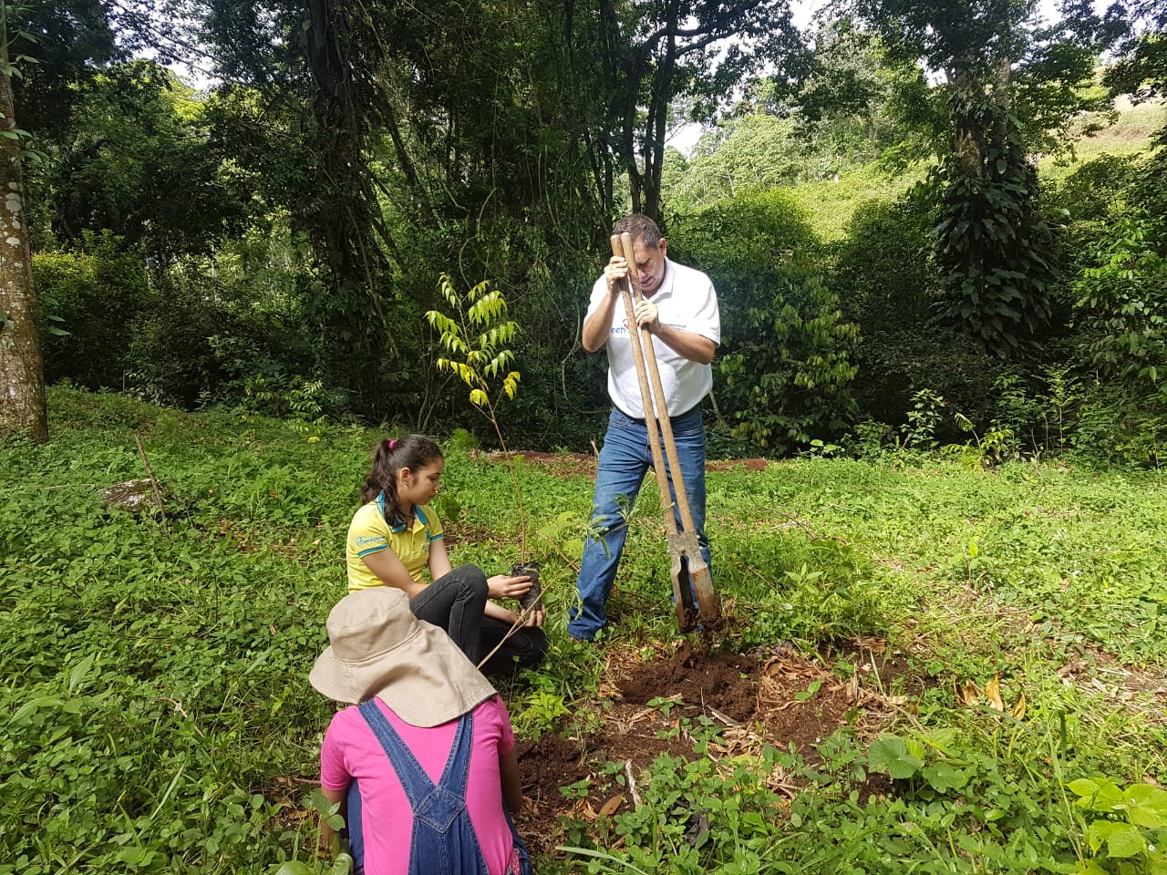 REFORESTACIÓN