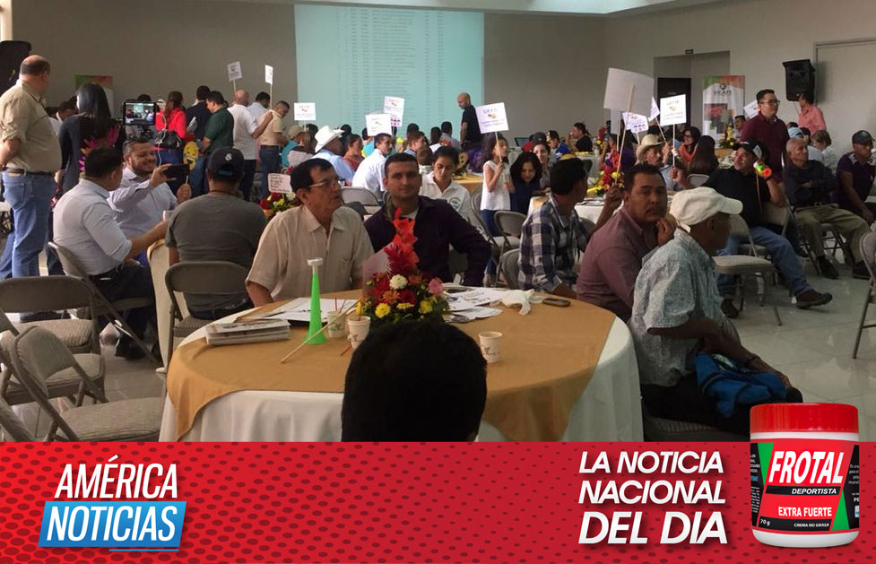 Una libra de café hondureño vendido a $80.60 en subasta electrónica