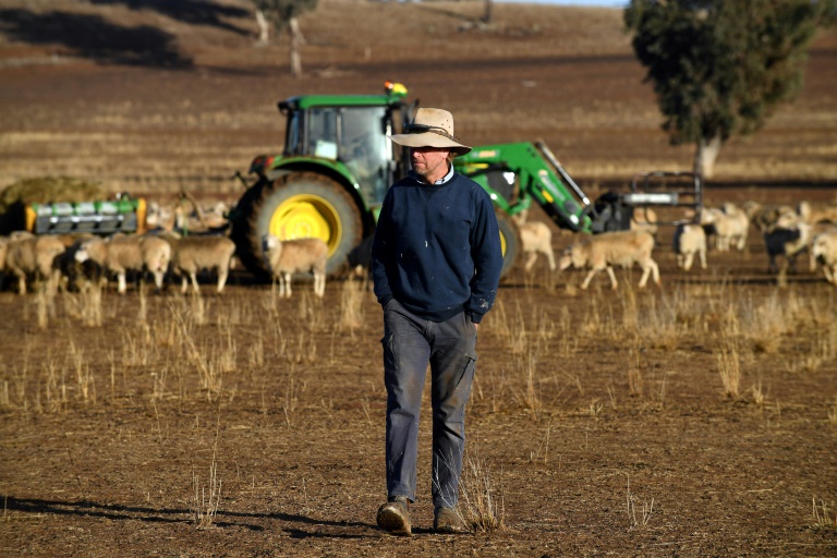 Los ganaderos australianos, ante la peor sequía en "más de 50 años"