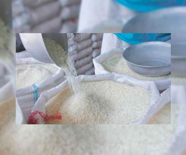 Productores hondureños podrían tirar a la calle miles de quintales de arroz por falta de mercado