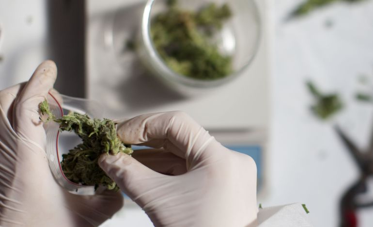 El análisis de datos genéticos de más de 180.000 personas ha permitido establecer un vínculo entre la esquizofrenia y el consumo de marihuana.