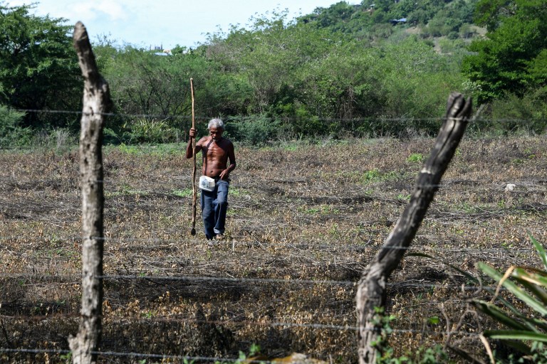Autoridades de la SAG brinda recomendaciones para ciclo de siembra de primera