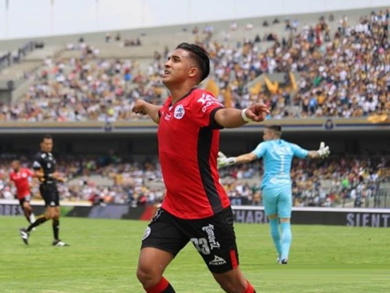 MICHAELL CHIRINOS