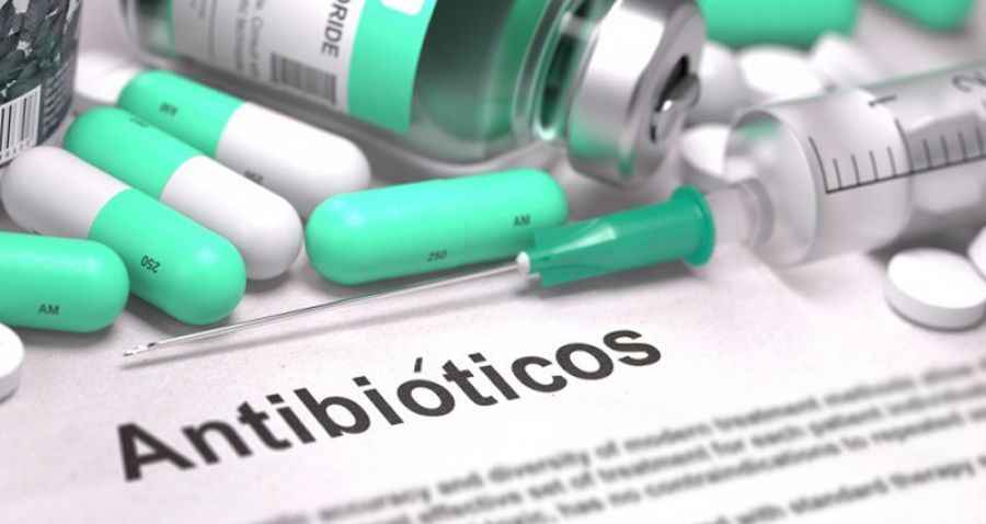 compuesto fúngico fue identificado por un equipo de investigadores chinos como un prometedor candidato a antibiótico