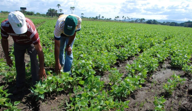 Los cambios en el clima son una de las principales causas del aumento del hambre en el mundo en 2017, sufrida por 821 millones de personas, según la ONU.