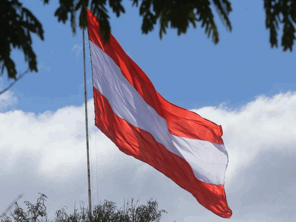 Partido Liberal prepara actividades para celebrar su 129 aniversario
