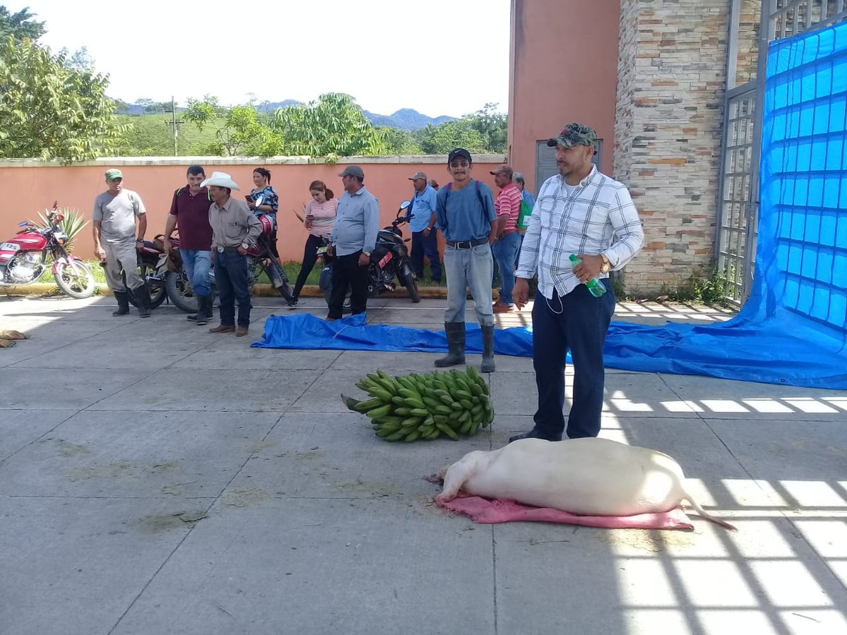 Señalan a Libre de estar detrás de protestas en hidroeléctrica Patuca III