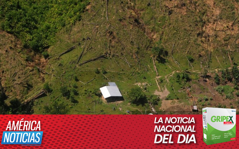 El ICF anuncia desalojo por deforestación en la Biósfera del Río Plátano