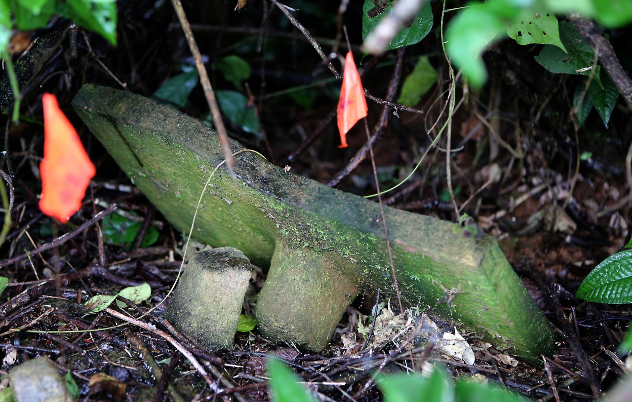 Una enorme pieza arqueológica fue extraída hoy de Ciudad Blanca o Kaha Kamasa, en la selva de La Mosquitia hondureña, convirtiéndose en el objeto más grande y pesado encontrado