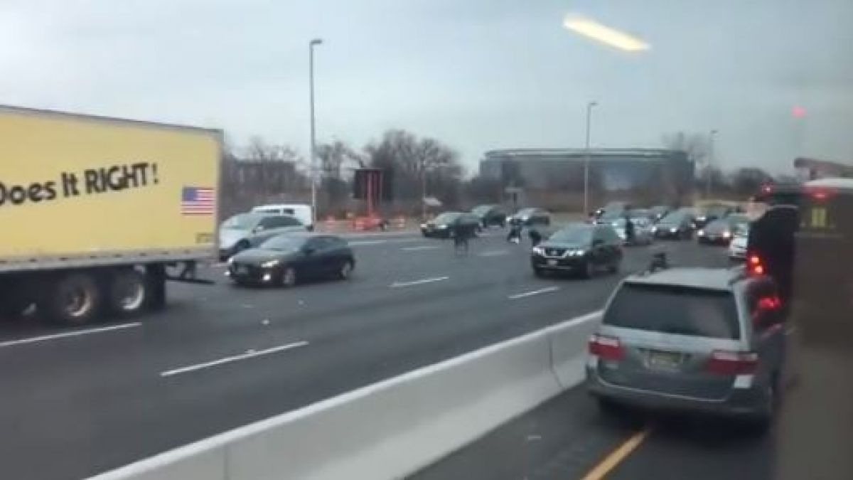 Llovió medio millón de dólares en una autopista de EEUU