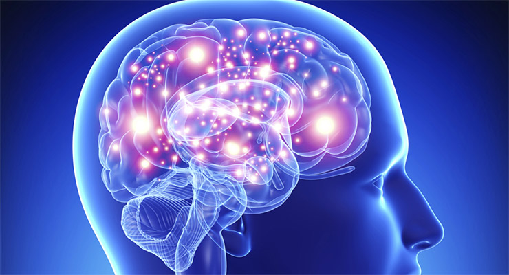 Iniciando en las células nerviosas alrededor de la columna vertebral y el cerebro,el glioma de bajo grado uno de los tipos de cáncer cerebral más mortales.