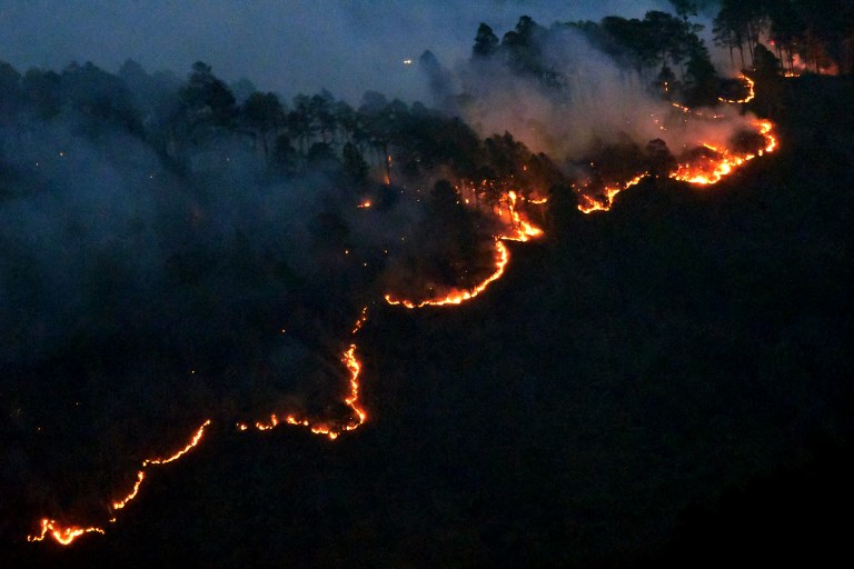 ICF anuncia inversión de 125 millones de lempiras en prevención de incendios y protección forestal