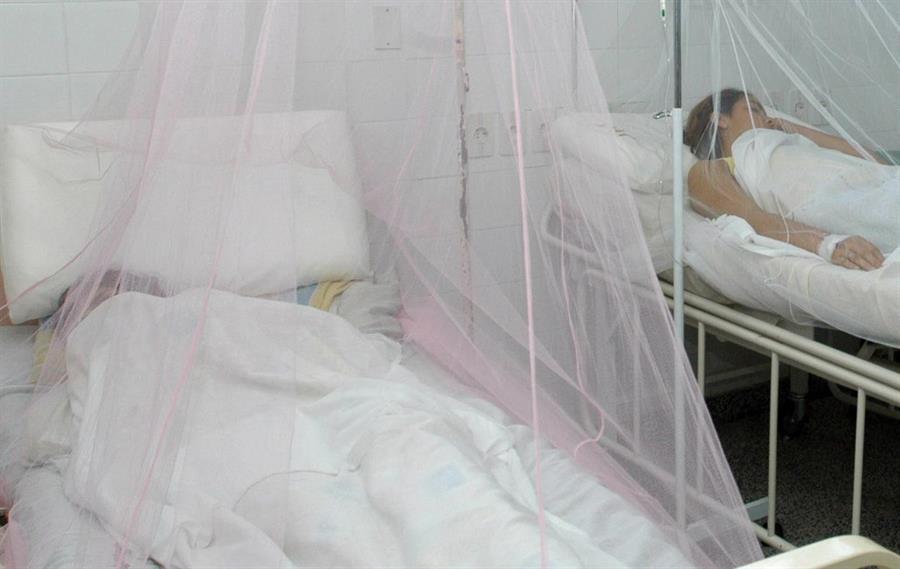 En lo que va de 2020 unas 3.232 personas han enfermado de dengue en Honduras, país que en 2019 sufrió la "epidemia más grande" de la enfermedad. EFE/Archivo