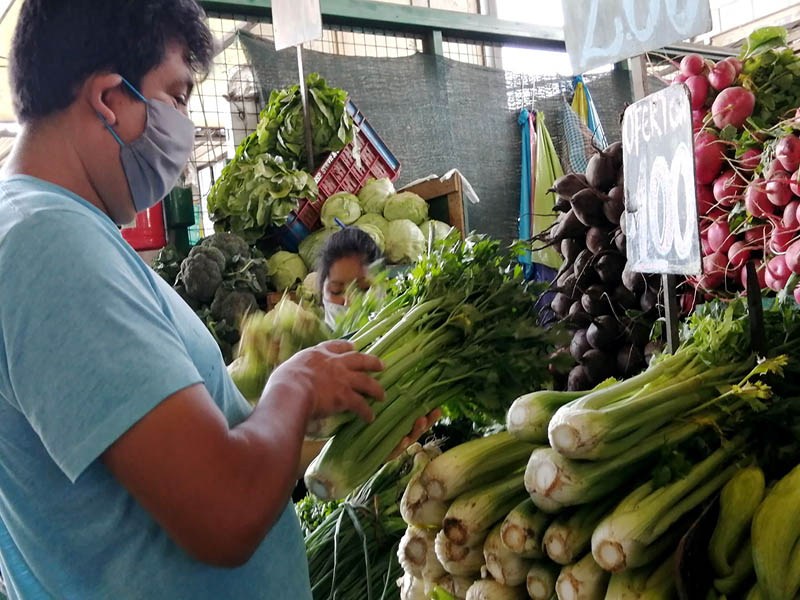 Plataforma digital busca promover abastecimiento de alimento en Centroamérica